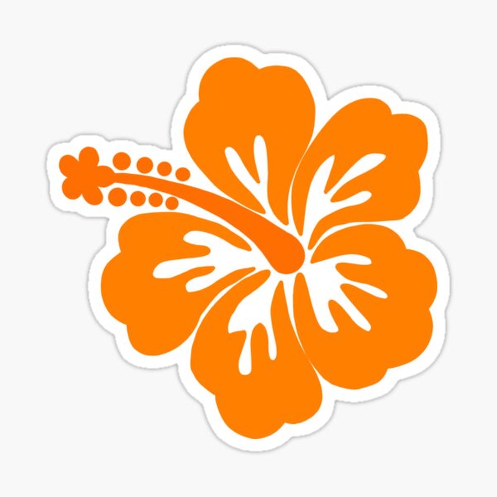 Orange Hibiscus