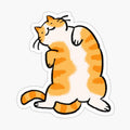 Orange Tabby Cat