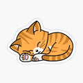 Orange Tabby - Sleeping
