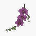 Orchid Branch