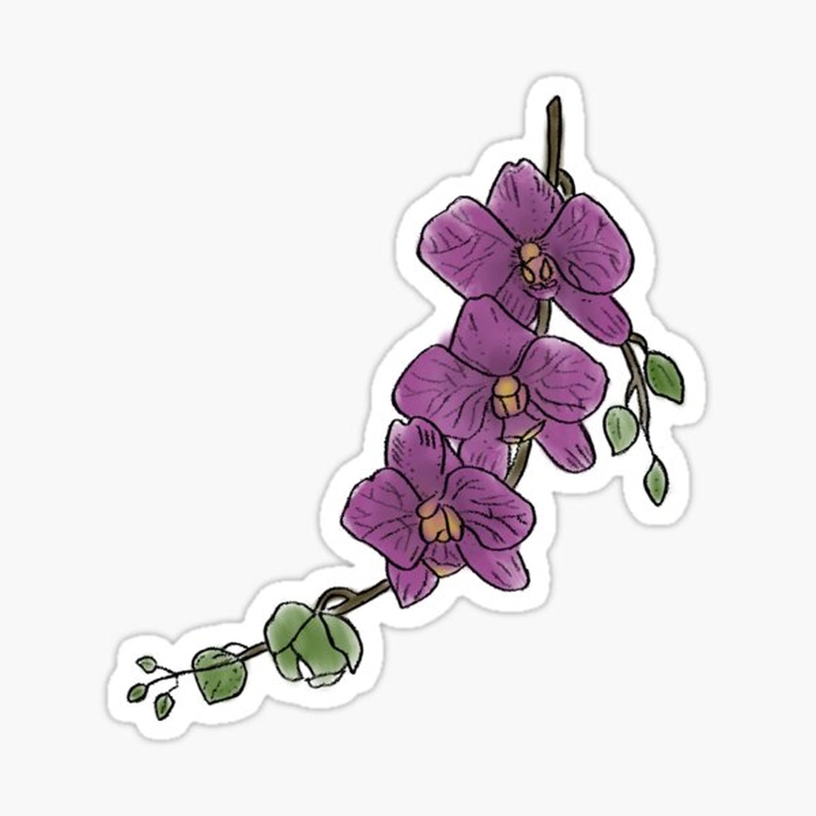 Orchid Branch