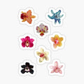 orchids flower