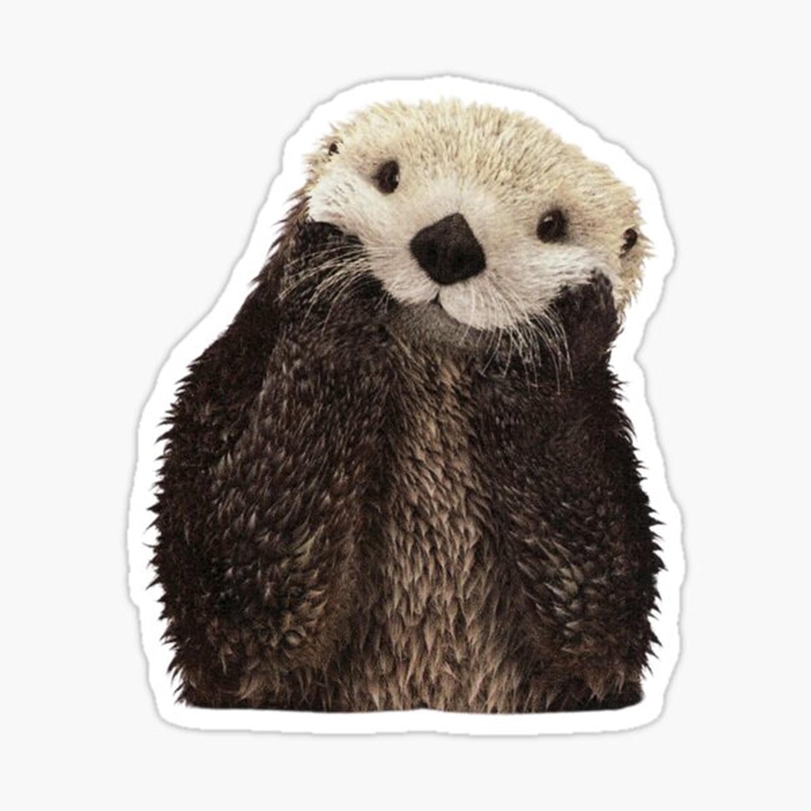 Otter