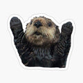 Otter Hugs