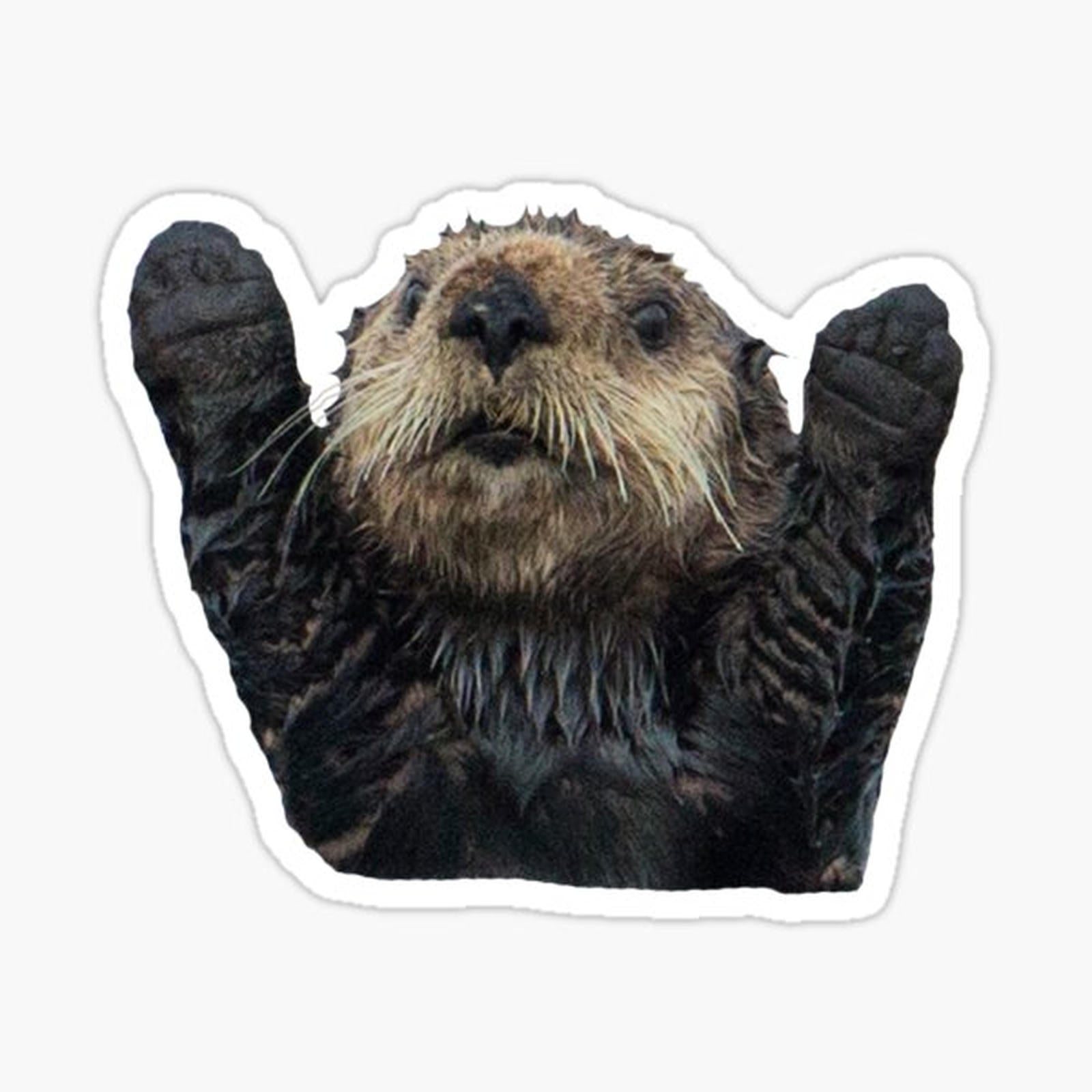 Otter Hugs