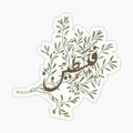 Palestine Arabic Olive Tree