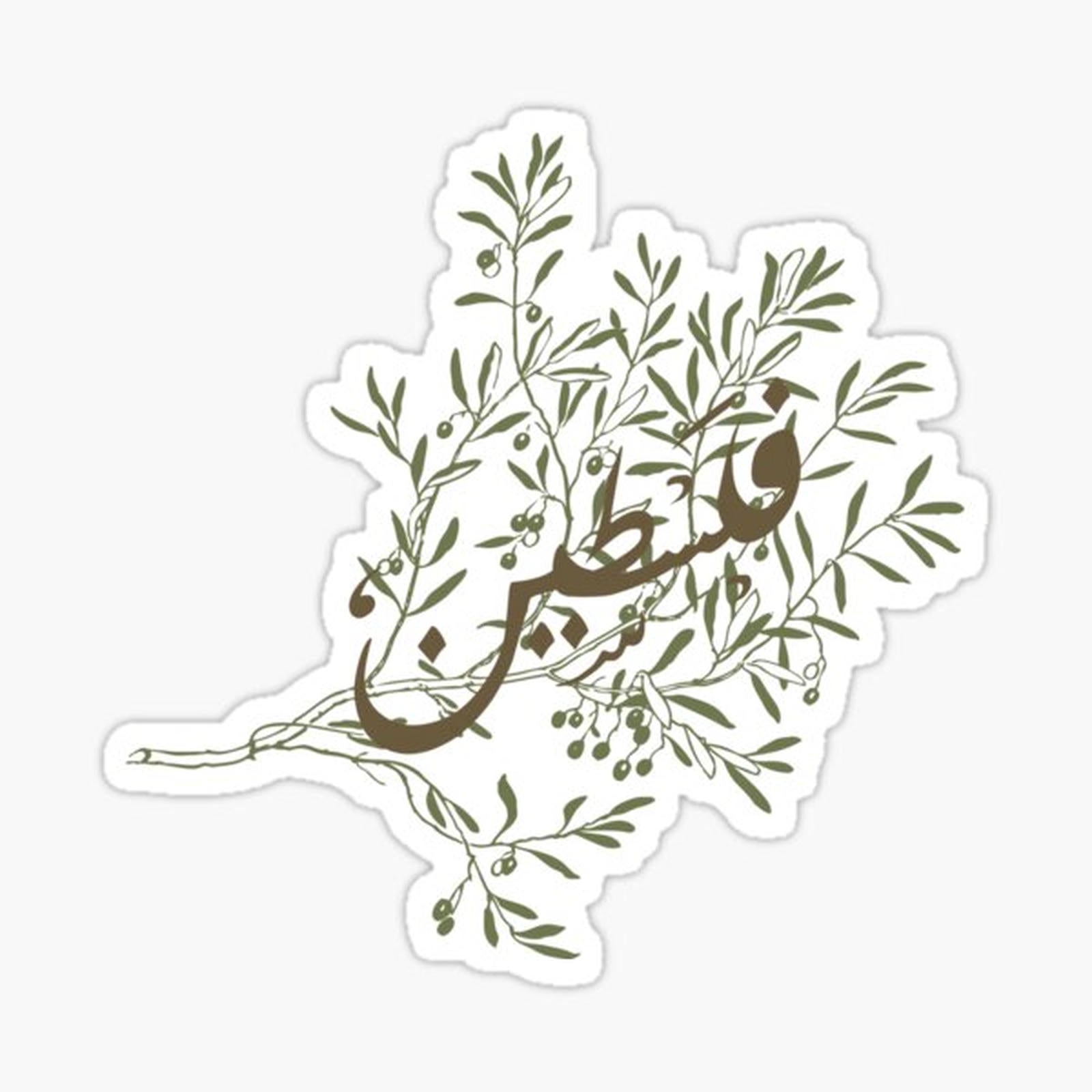 Palestine Arabic Olive Tree