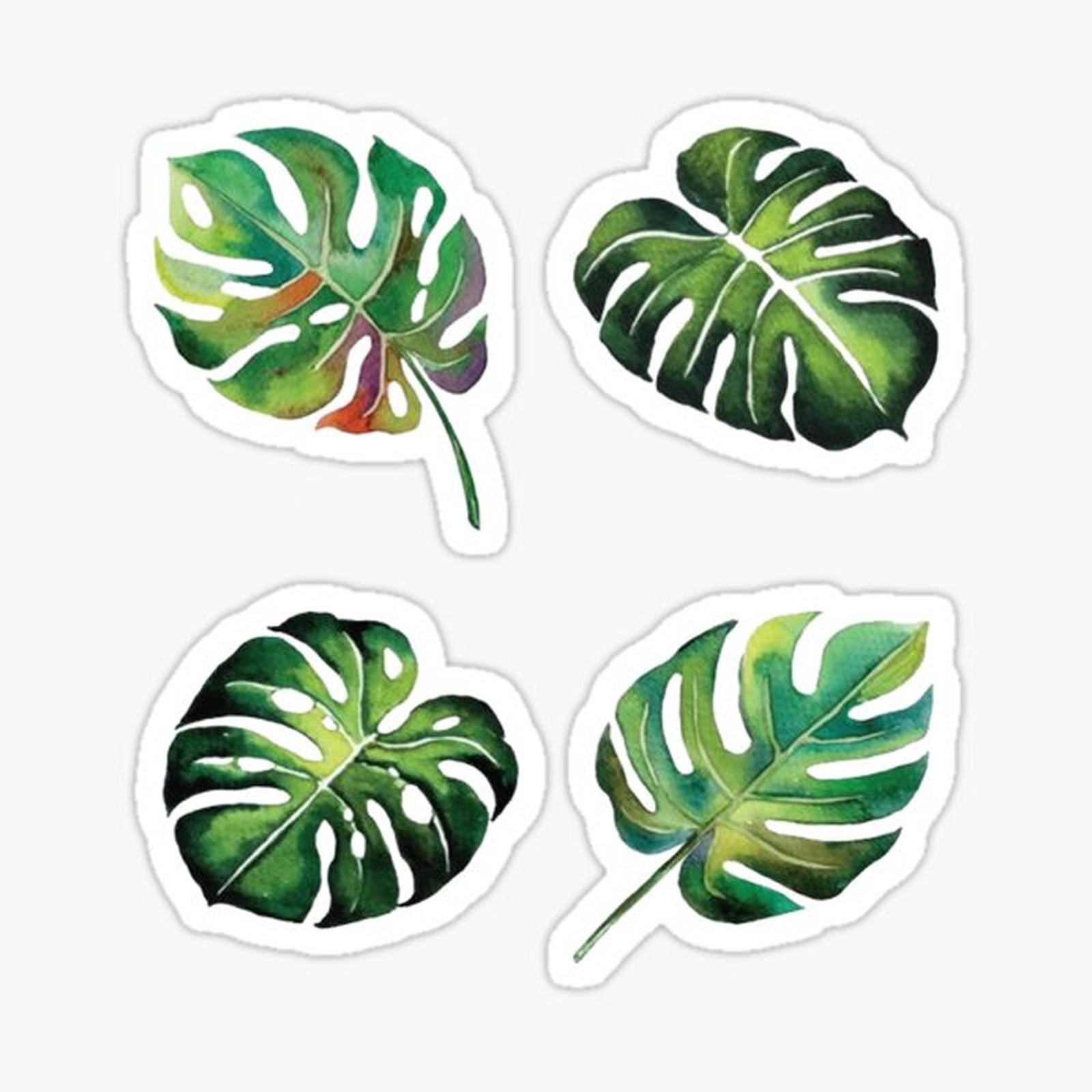 Palm Leaves