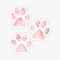 Paw Print