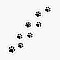 paw prints