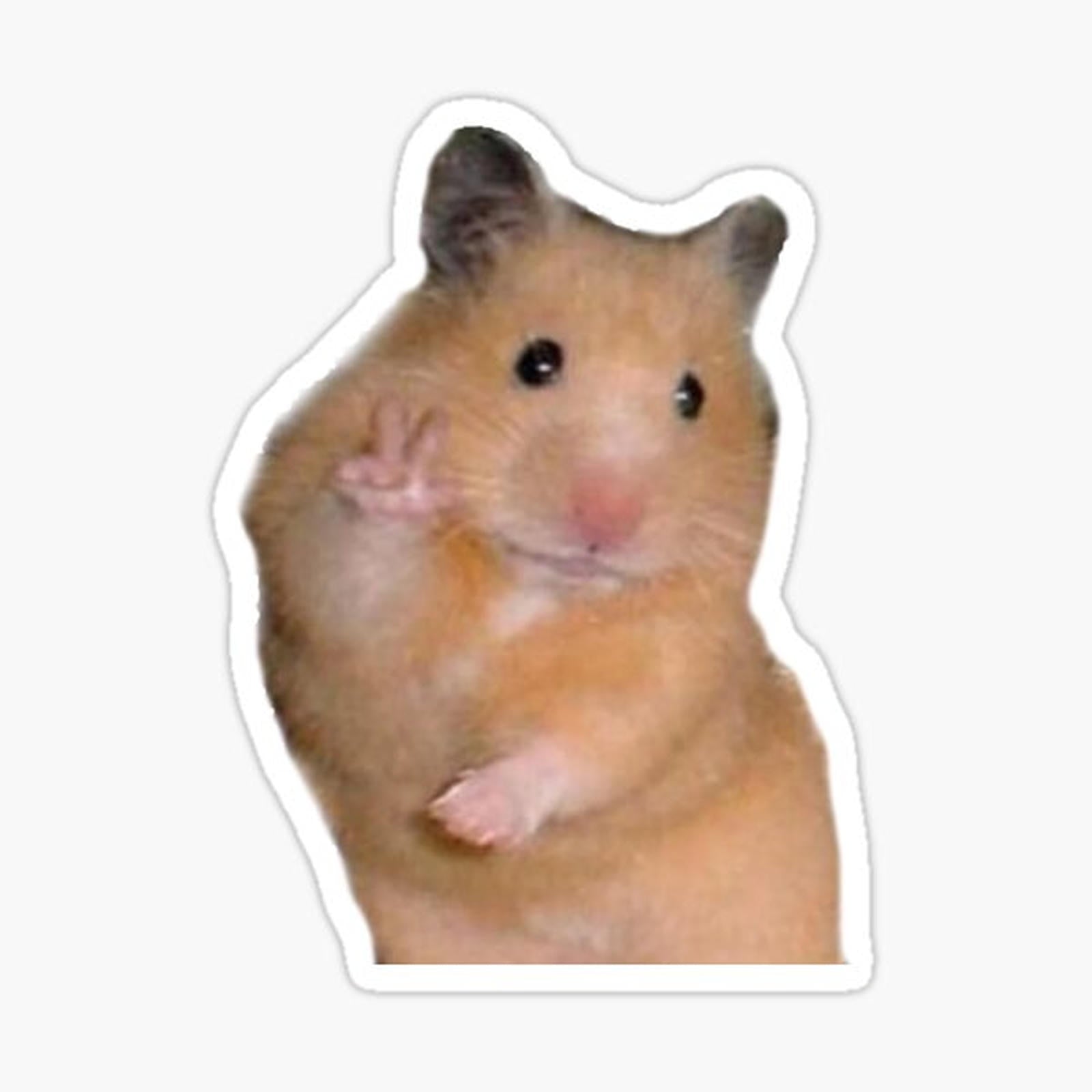 Peace Hamster Meme
