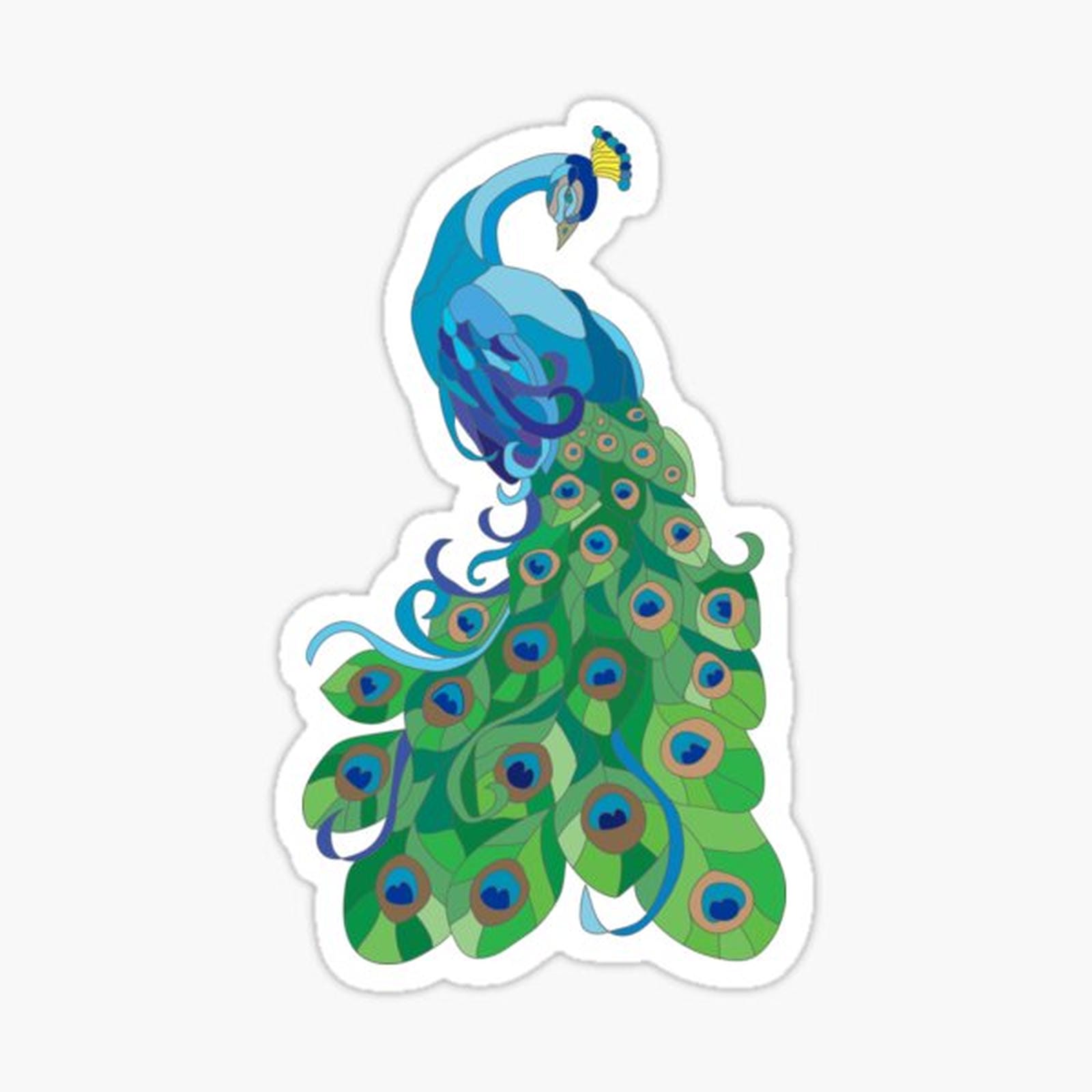 Peacock illustration