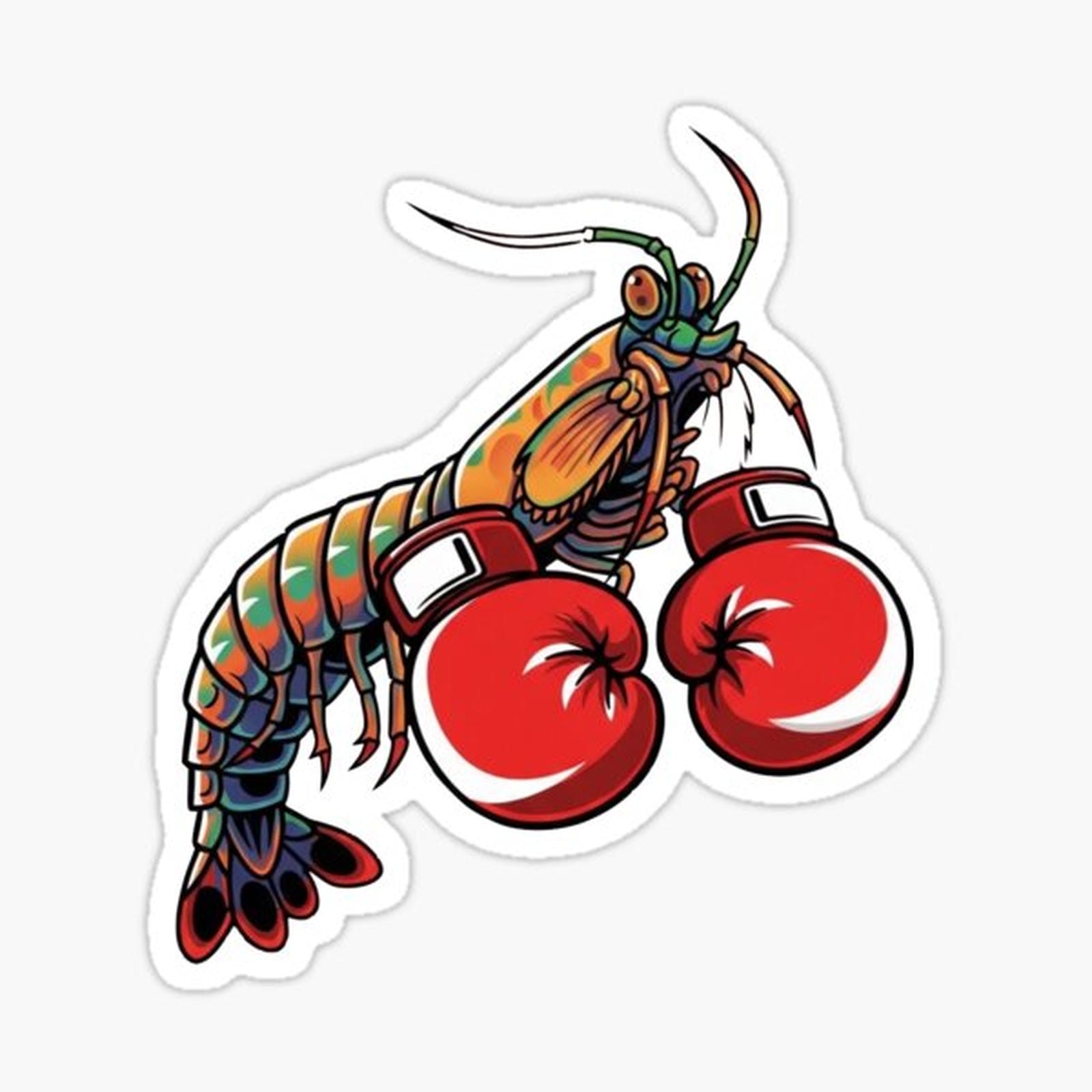Peacock Mantis Shrimp Boxer