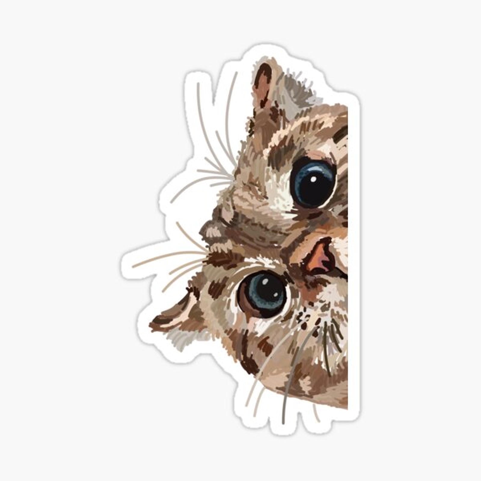 Peeking Cat