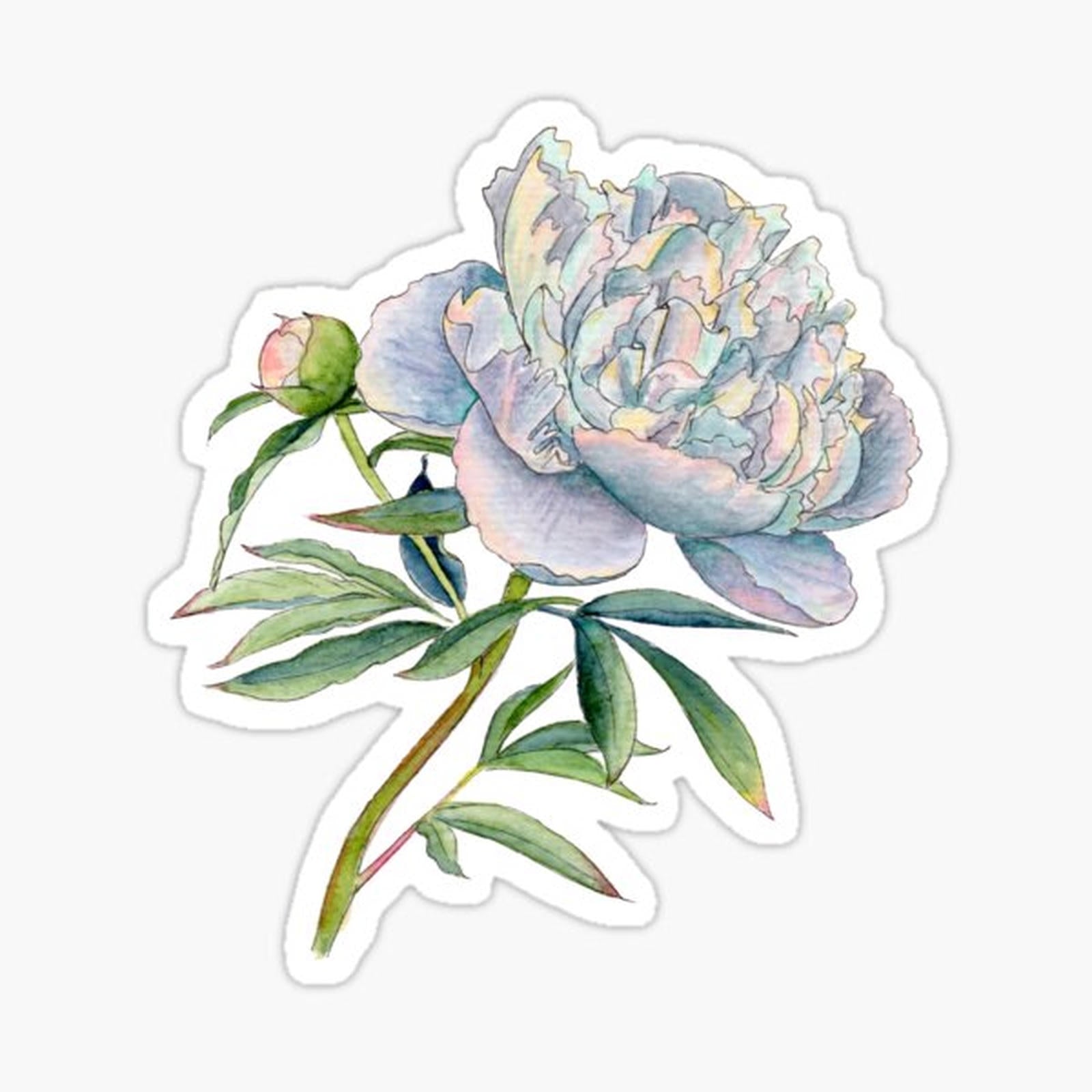 Peony in watercolor and ink by farrahdelle