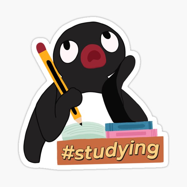 pingu studying