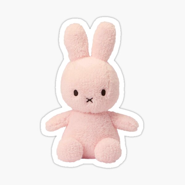 pink bunny stuffie