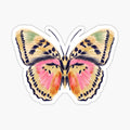 Pink butterfly