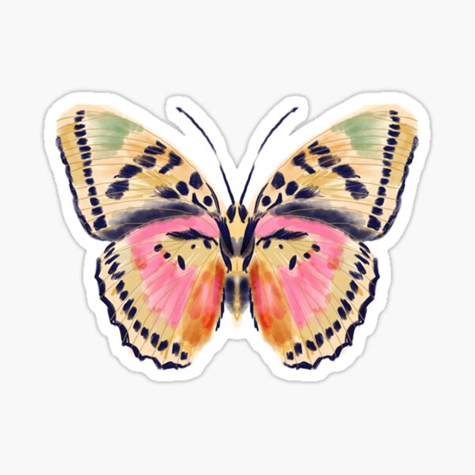Pink butterfly
