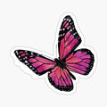 Pink butterfly