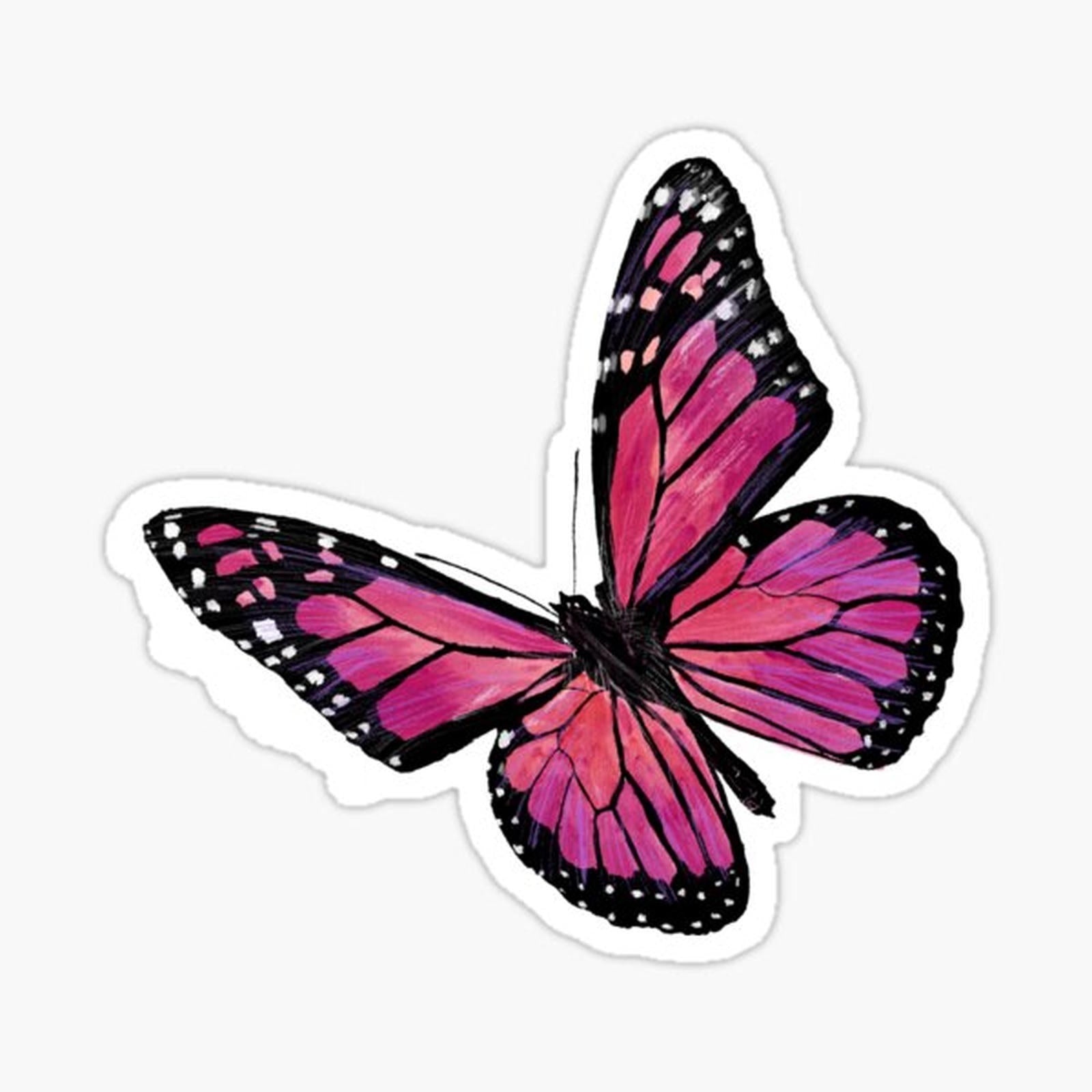 Pink butterfly