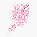 pink cherry blossom