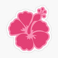 Pink Hibiscus Flower