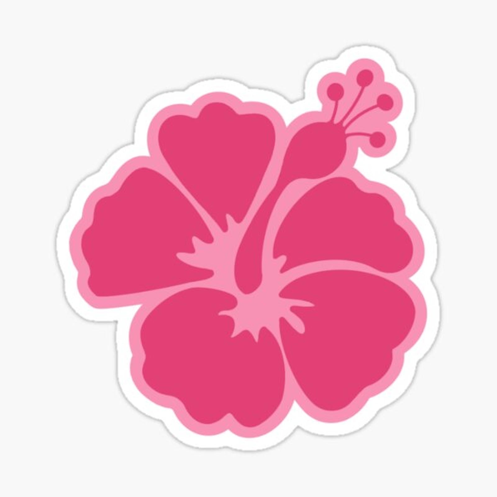 Pink Hibiscus Flower