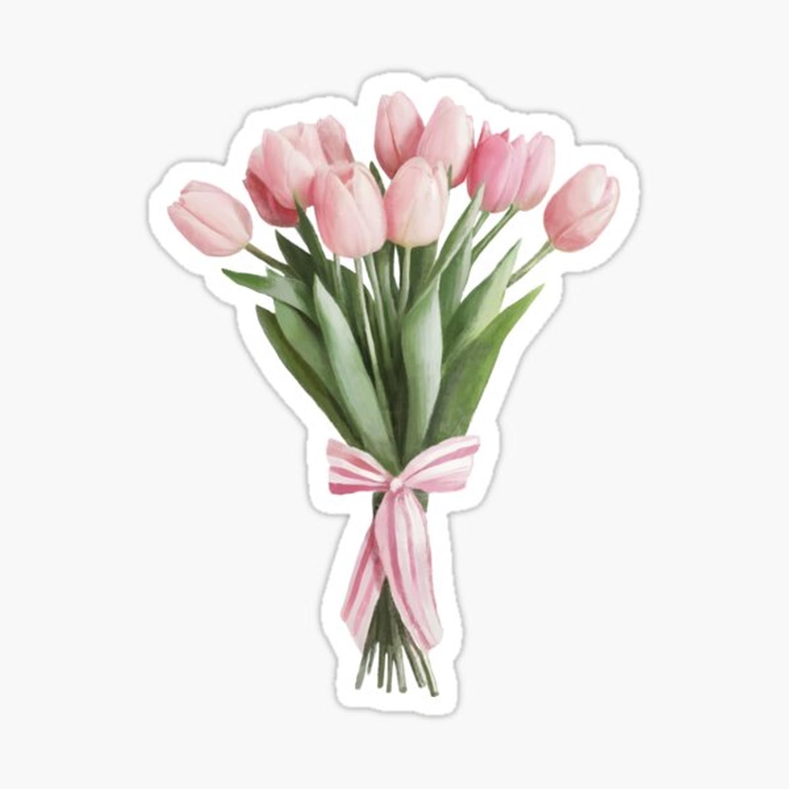 Pink rose