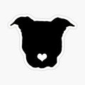 Pitbull Love