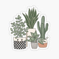 plant Aesthetic