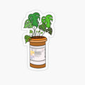 Plant Pill Bottle
