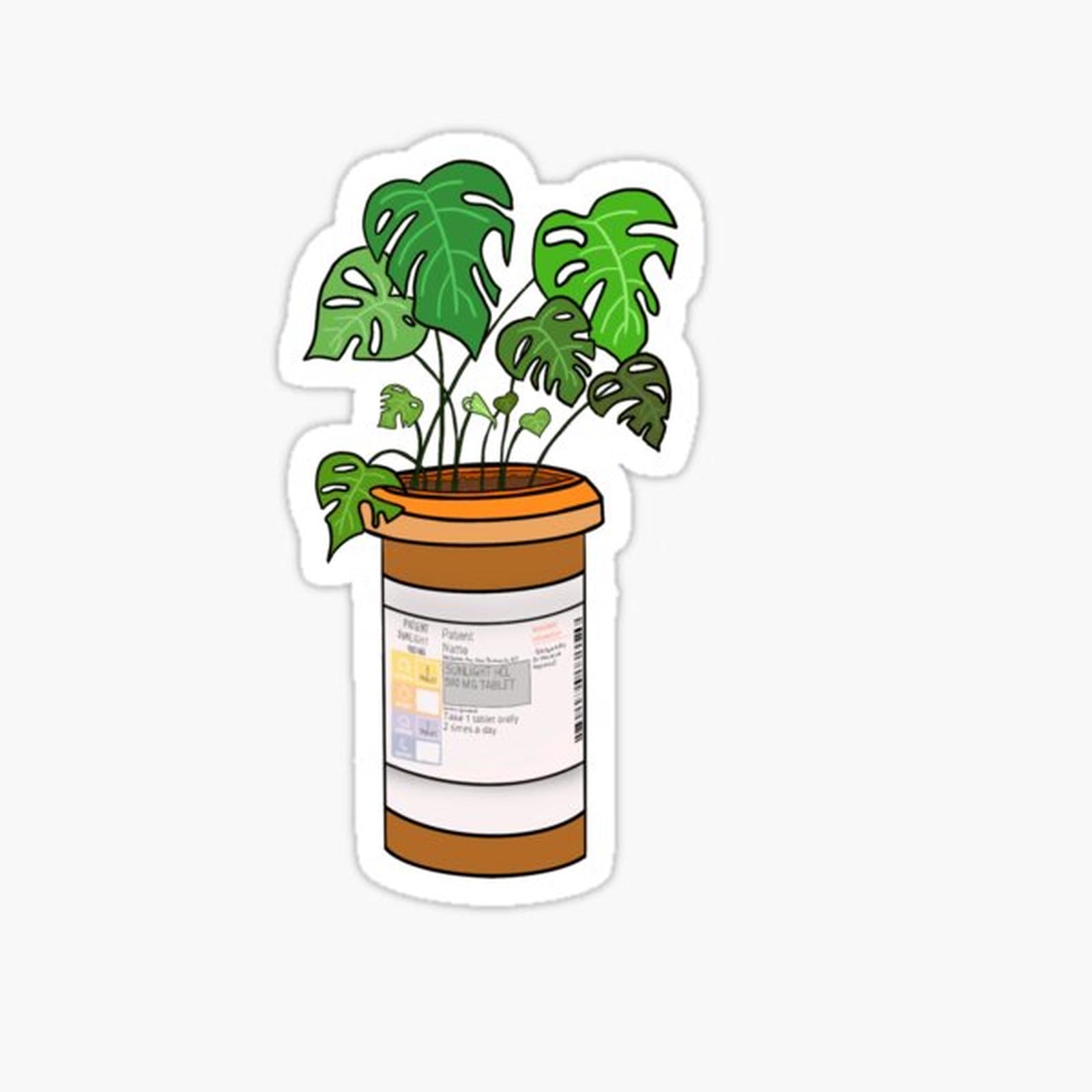 Plant Pill Bottle