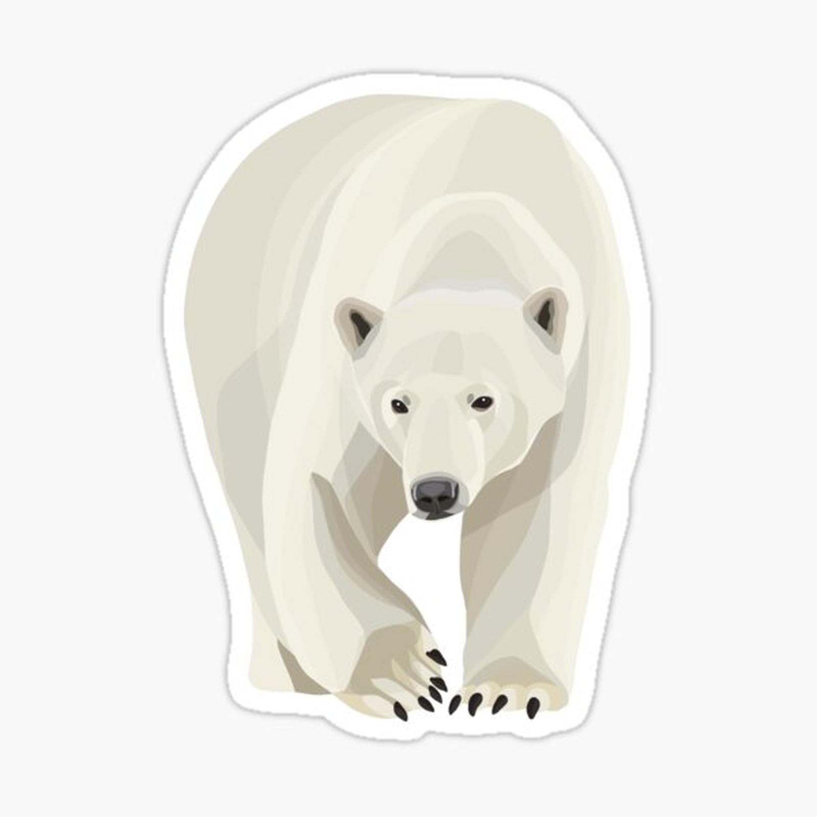Polar Bear