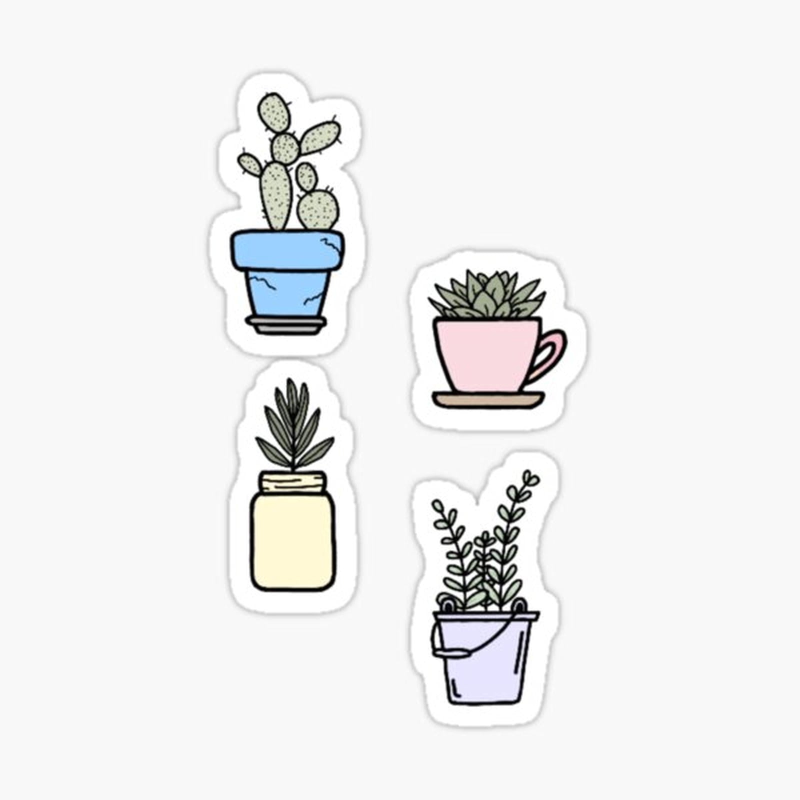 potted plants