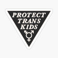 protect trans kids