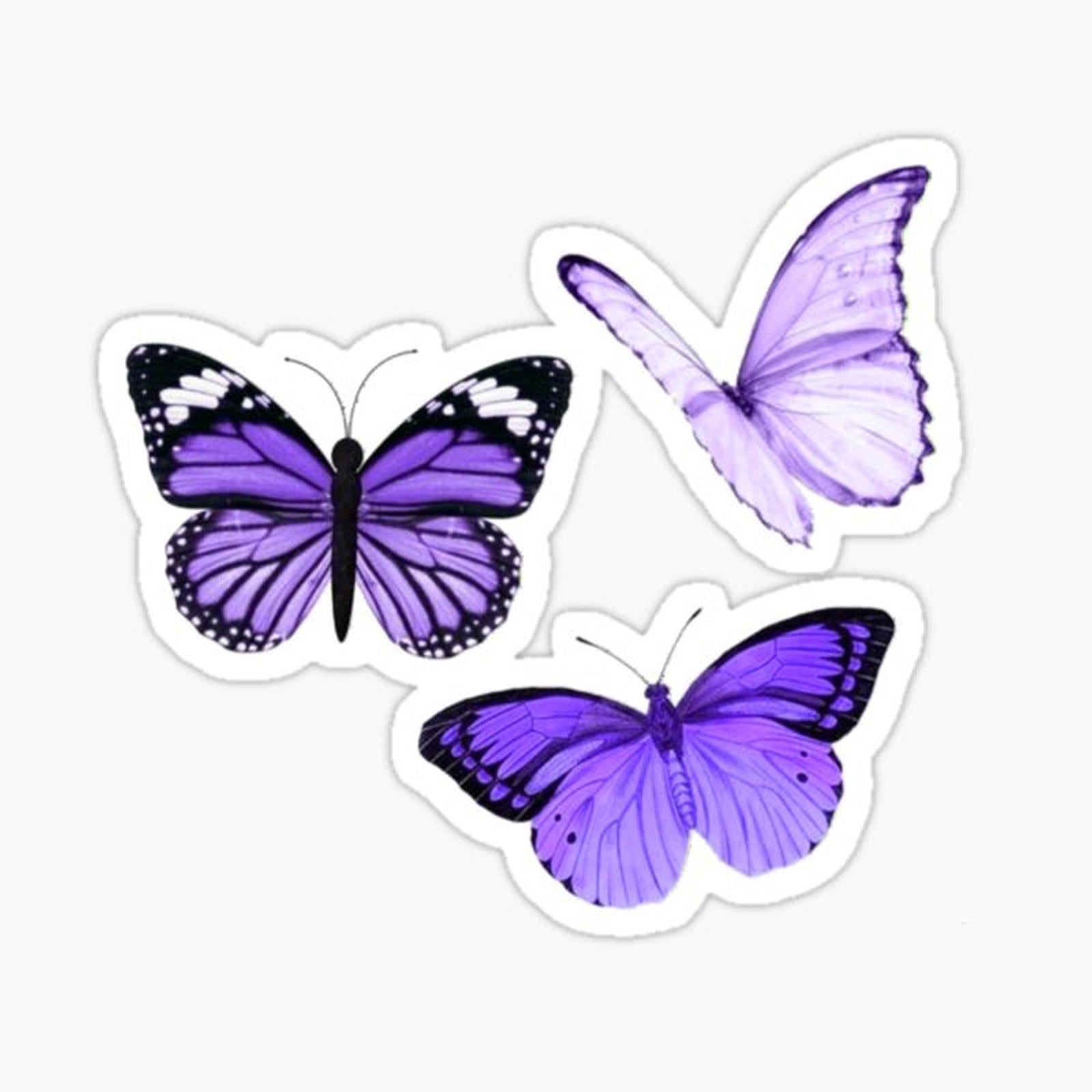 Purple Butterflies