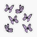 purple butterflies