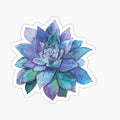Purple Succulent