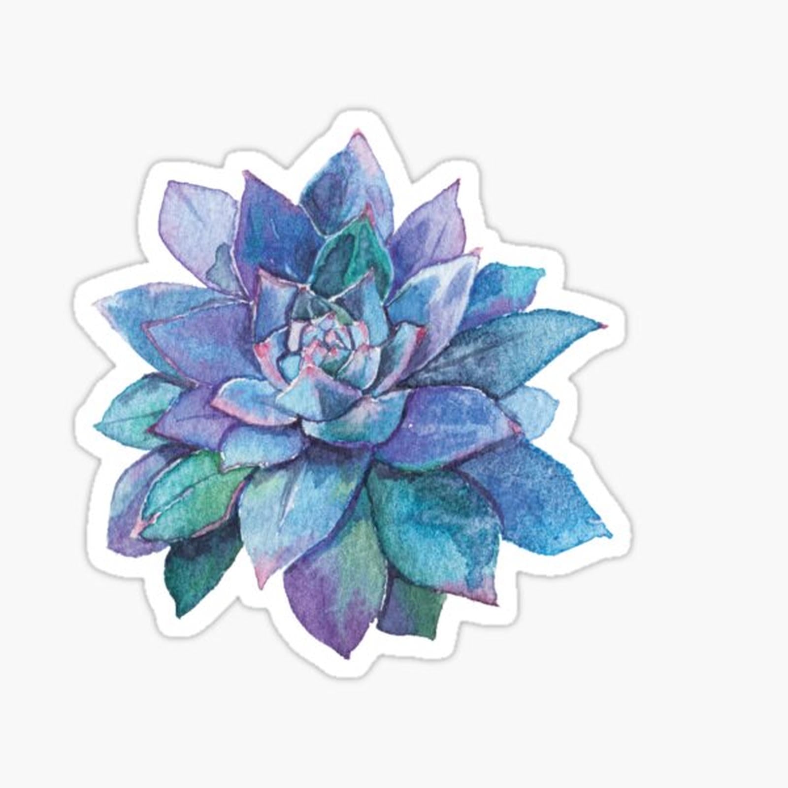 Purple Succulent