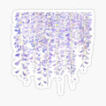 purple wisteria