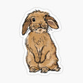 Rabbit without Banner