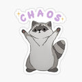 Raccoon Chaos