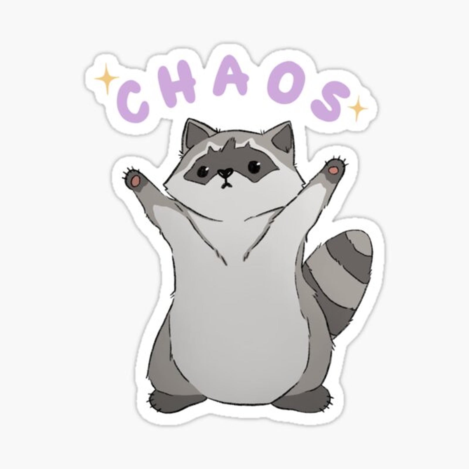 Raccoon Chaos