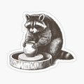 Raccoon Pottery