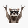 Raccoon Rock Sign Funny Glasses