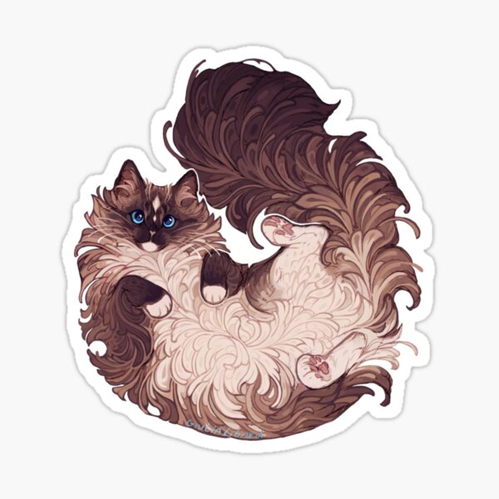 Ragdoll cat