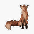 Red Fox