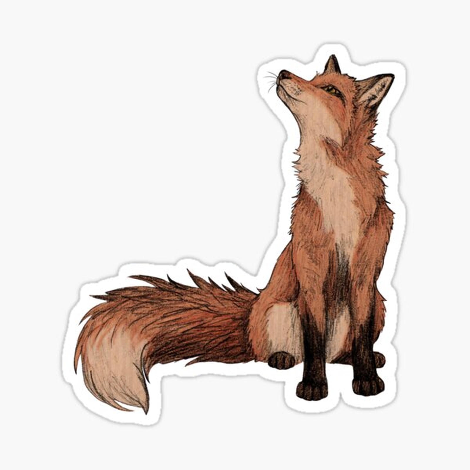 Red Fox
