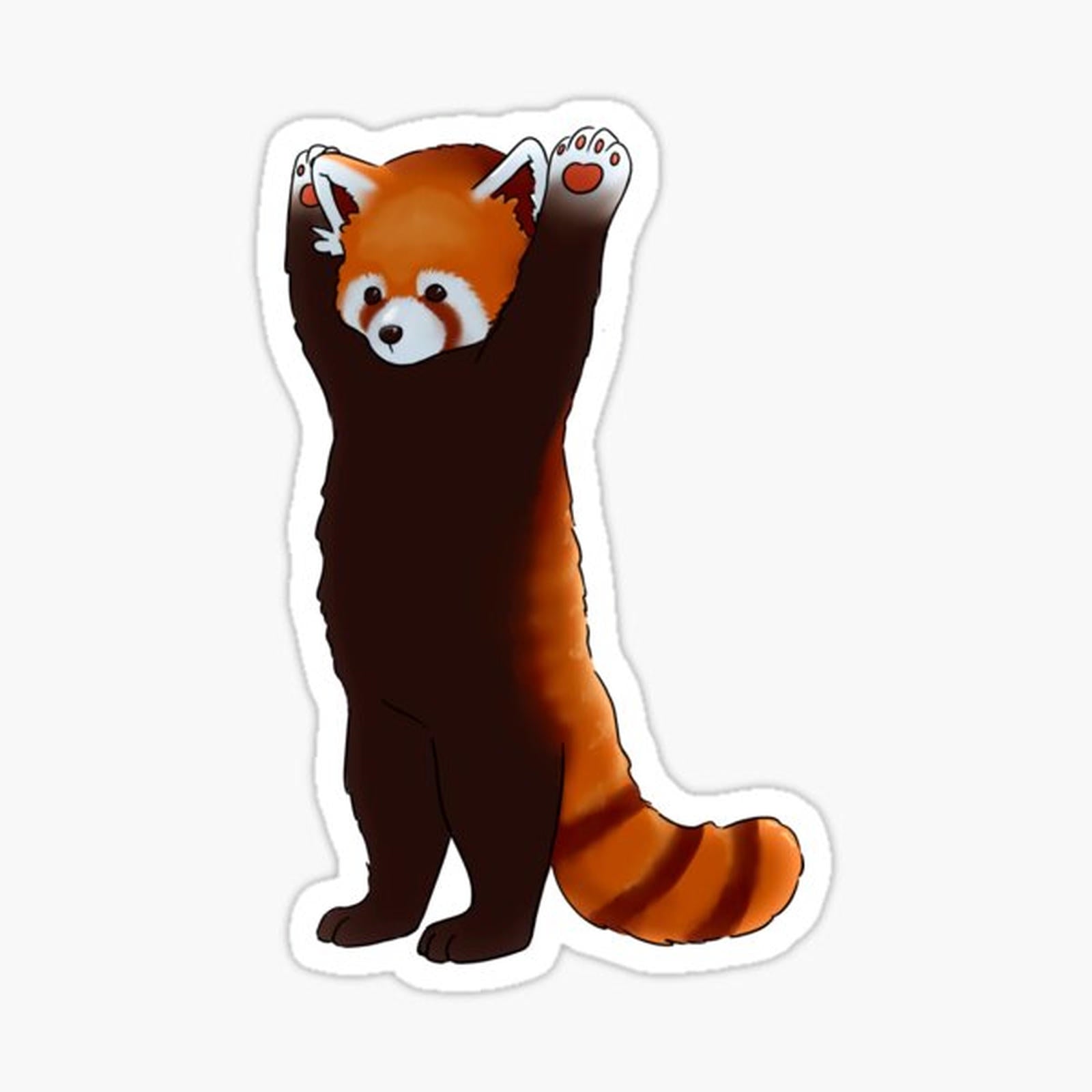 Red Panda